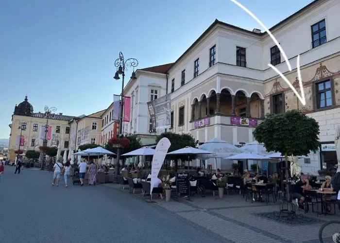 Alure Residences 12 & 24h Self Check-in & Private Parking Next To The Building Included, Center Right On Snp Square In A Quiet Passage, New Building, In Town * Banská Bystrica