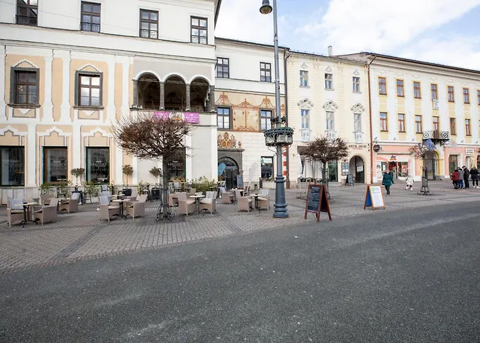 Alure Residences 12 & 24h Self Check-in & Private Parking Next To The Building Included, Center Right On Snp Square In A Quiet Passage, New Building, In Town Banská Bystrica